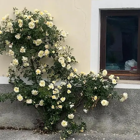 Klanc 19 Apartmán Bovec