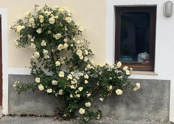 Klanc 19 아파트 보베츠